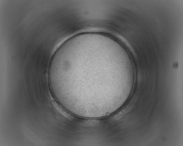 X0000088901417200707061444