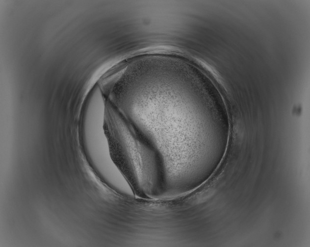 X0000088901418200707061444