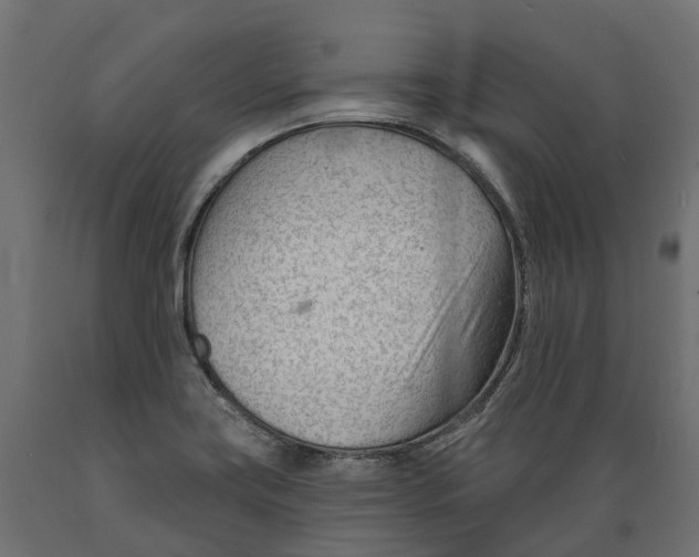 X0000088901419200707061444