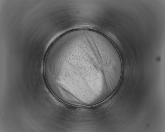 X0000088901420200707061444