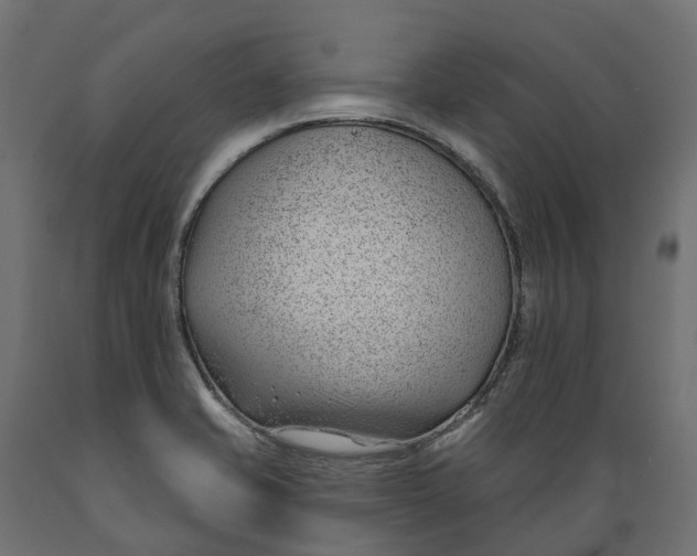 X0000088901421200707061444