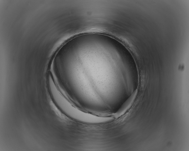 X0000088901422200707061444