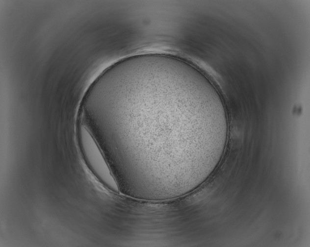 X0000088901423200707061444