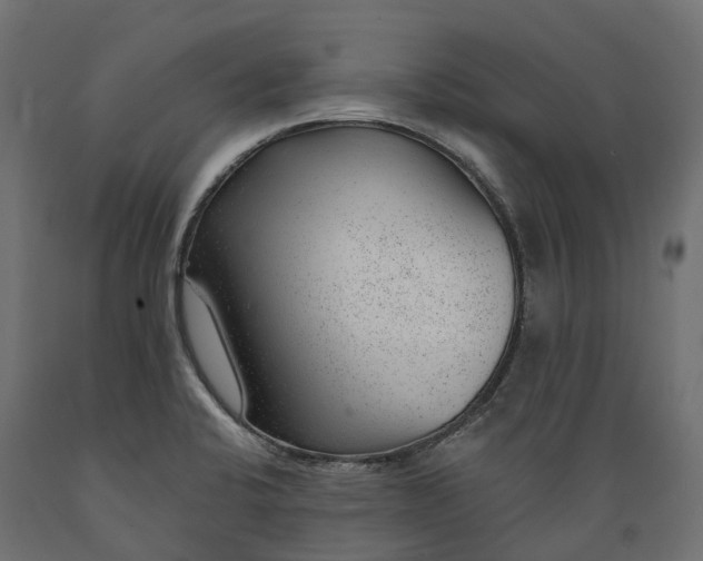 X0000088901424200707061444