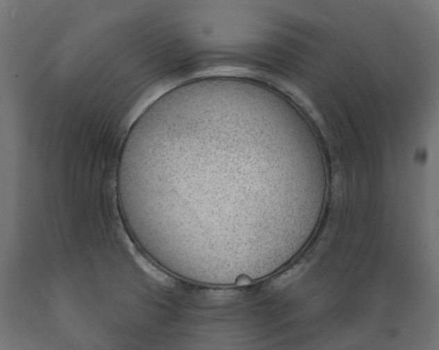 X0000088901425200707061444