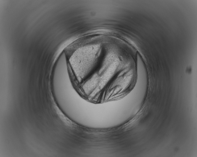 X0000088901426200707061444