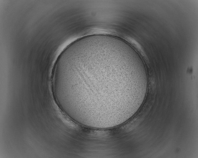 X0000088901427200707061444