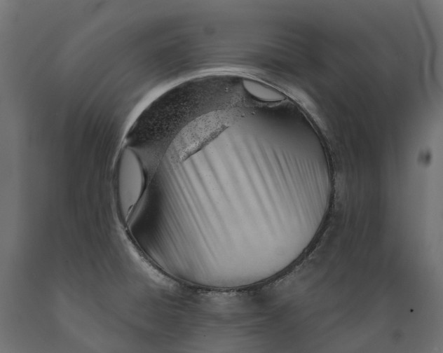 X0000088901428200707061444