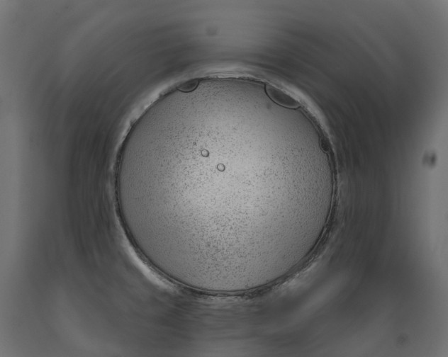 X0000088901429200707061444