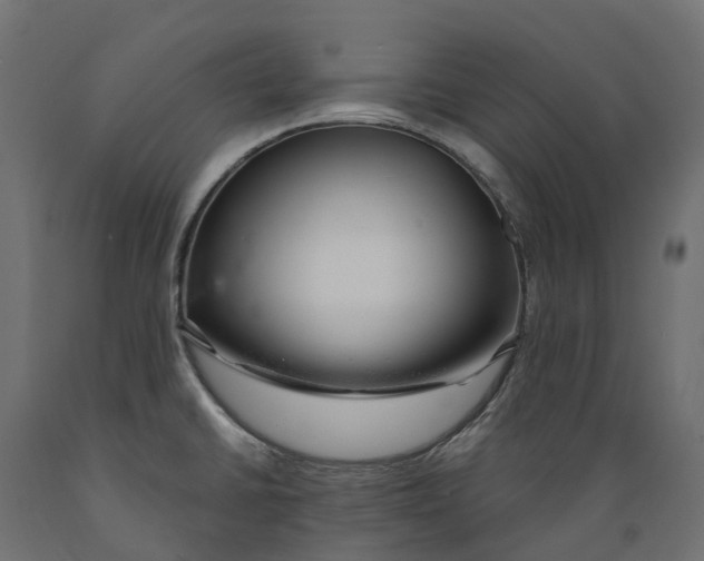 X0000088901430200707061444