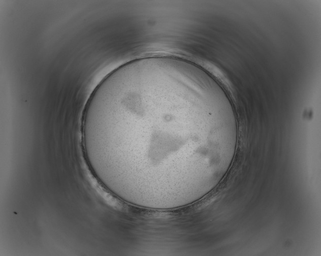 X0000088901431200707061444