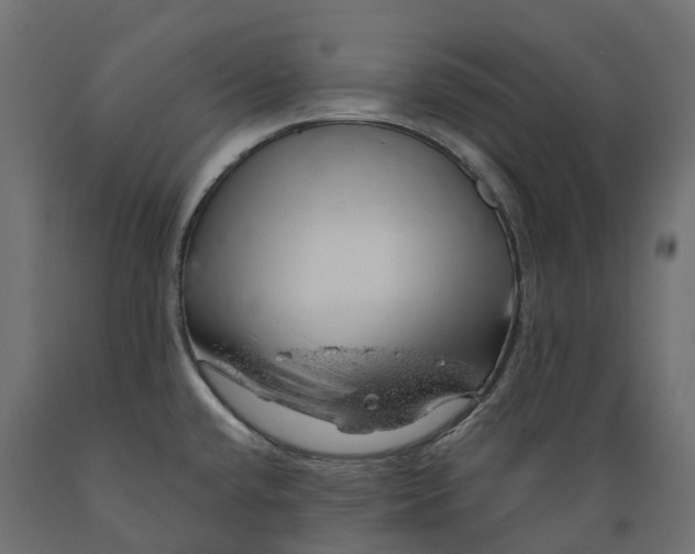 X0000088901432200707061444