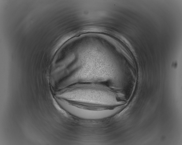 X0000088901433200707061444