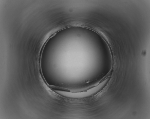 X0000088901434200707061444