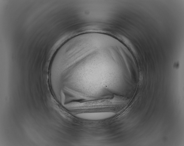 X0000088901435200707061444