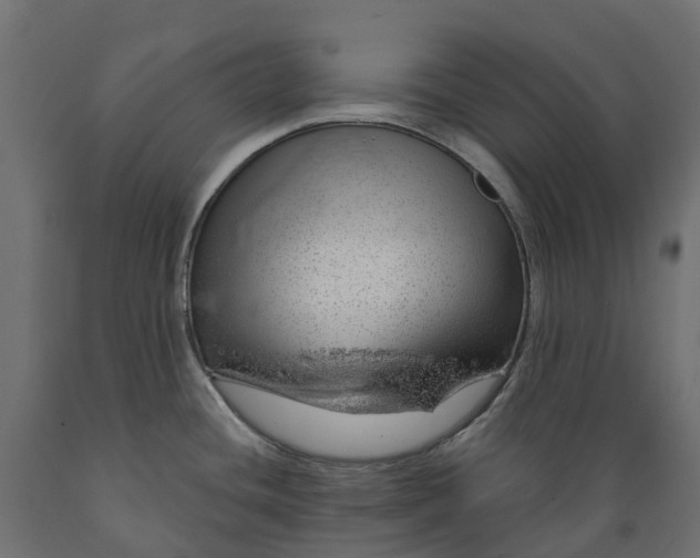 X0000088901436200707061444