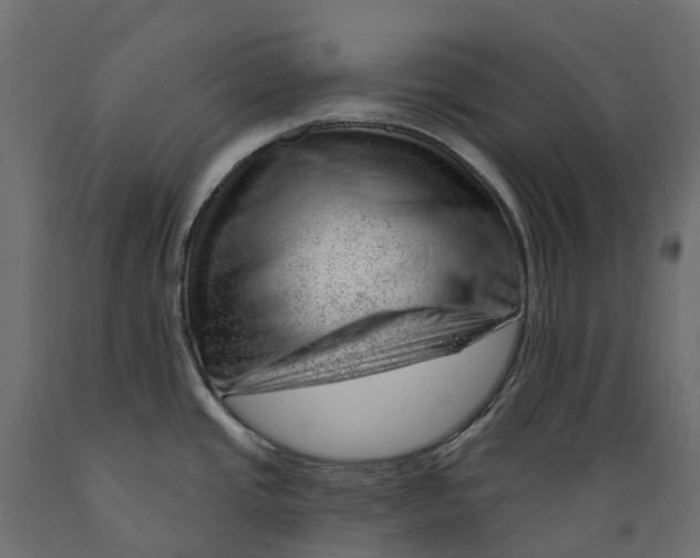 X0000088901437200707061444