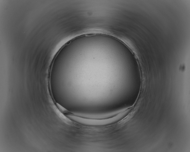 X0000088901438200707061445