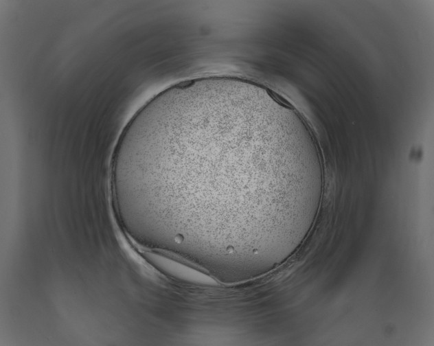 X0000088901439200707061445