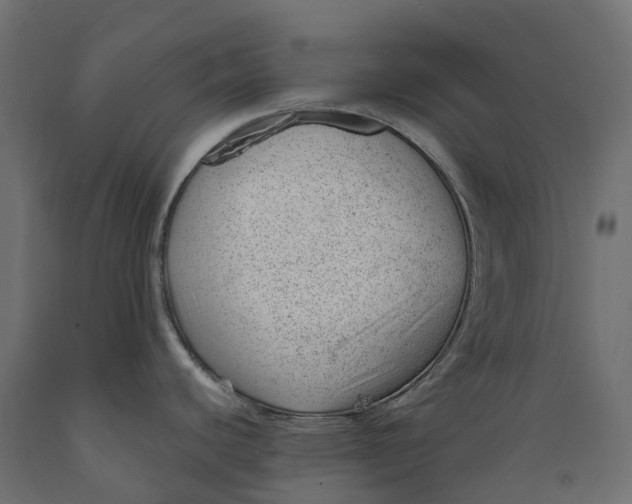 X0000088901440200707061445