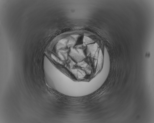 X0000088901441200707061444