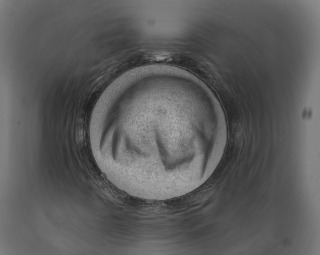 X0000088901442200707061444