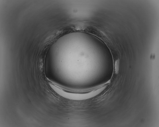 X0000088901443200707061444