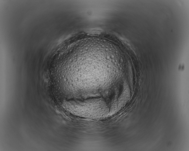 X0000088901445200707061444