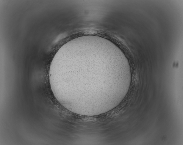 X0000088901446200707061444