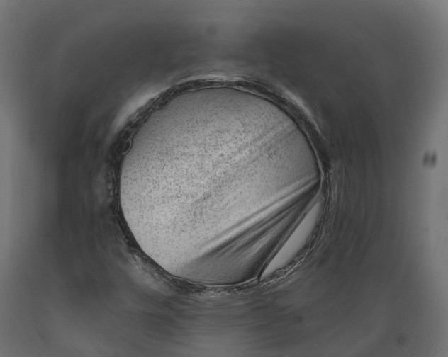 X0000088901448200707061444