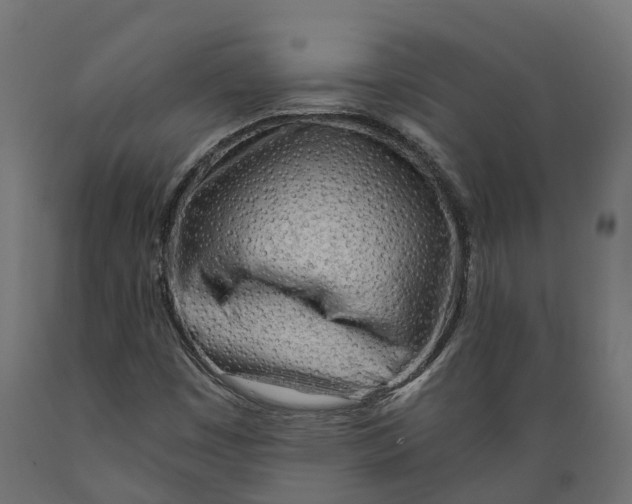 X0000088901449200707061444