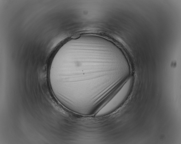 X0000088901450200707061444