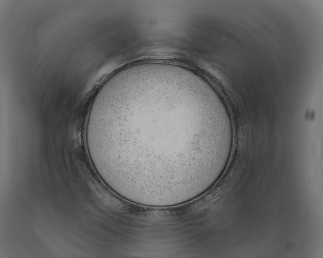 X0000088901451200707061444