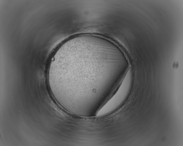 X0000088901452200707061444