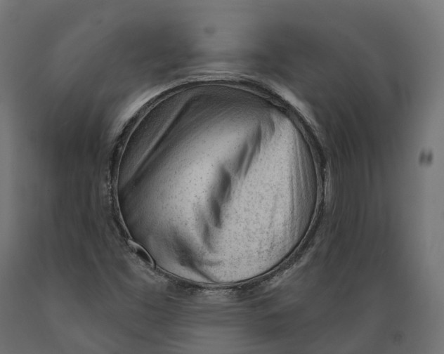 X0000088901453200707061444