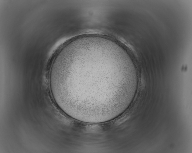 X0000088901454200707061444