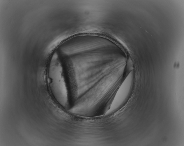 X0000088901455200707061444