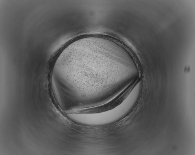 X0000088901456200707061443