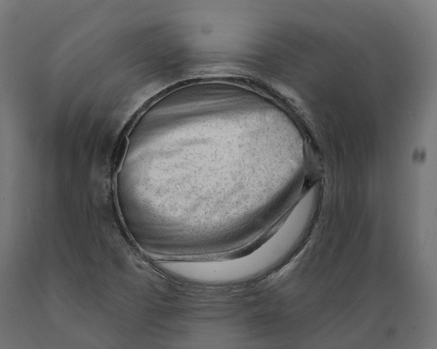 X0000088901457200707061443