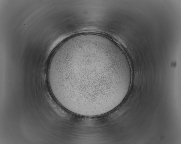 X0000088901458200707061443