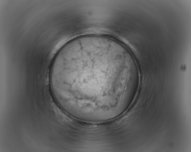 X0000088901459200707061443