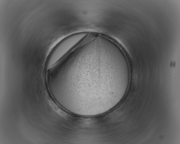 X0000088901460200707061443