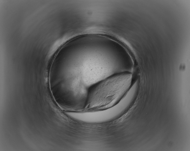 X0000088901461200707061443