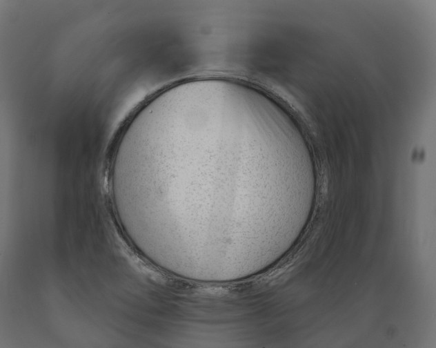 X0000088901462200707061443