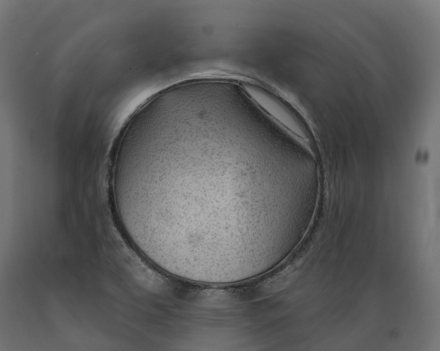 X0000088901463200707061443