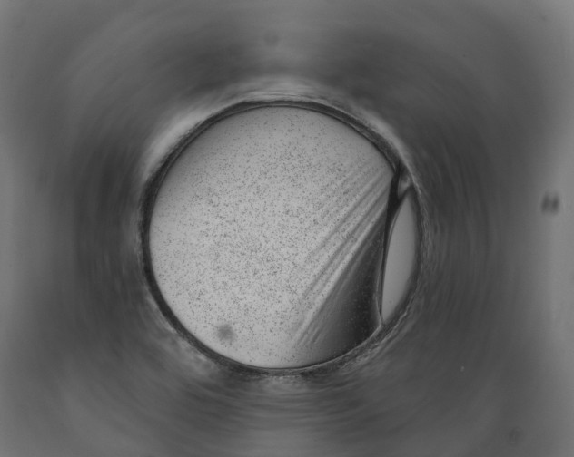 X0000088901464200707061443