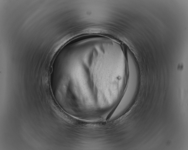 X0000088901465200707061443