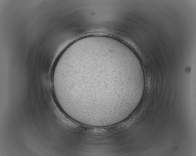 X0000088901466200707061443