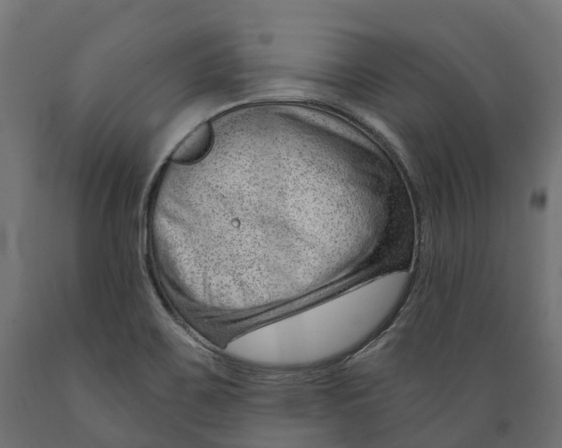 X0000088901467200707061443