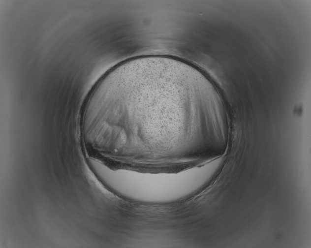 X0000088901468200707061443